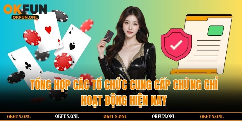 Tổng hợp các tổ chức cung cấp chứng chỉ hoạt động hiện nay